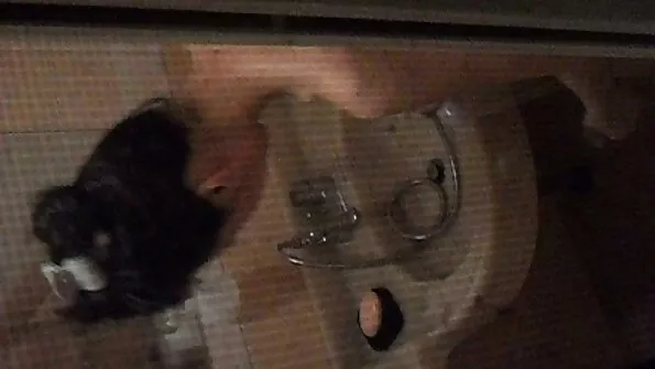 بلدي شقراء الأرنب يحب أن ابتلاع بلدي الديك مواقع سكس تركيه