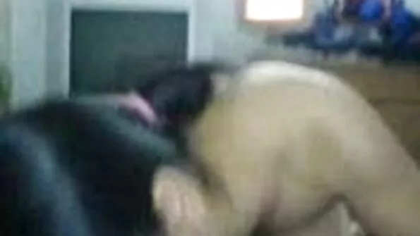 ميلف افلام سكس تركي كامله تعطي حريري سراويل بيضاء ارتداء sisy في chasity مع مثير جوارب النايلون الساقين إلى العبادة