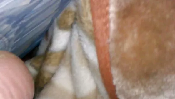 عيد الأم فيديوهات سكس تركية الحمار التدليك