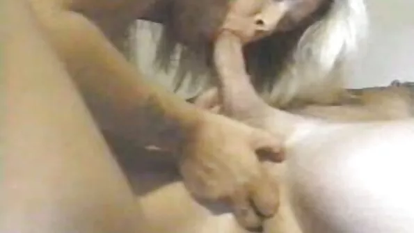 مداهمة بلدي بوجو الديك عكس راعية سكس تركي قديم البقر تشكل