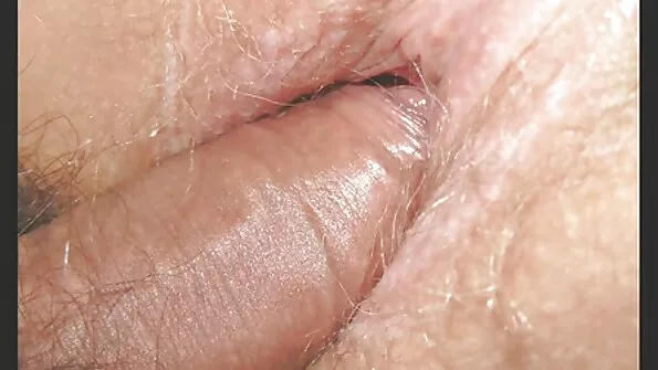 السمين العاهرة يعطي لطيفة رئيس زوجها يلعق له العضو التناسلي النسوي الرطب افلام سكس تركي قديم